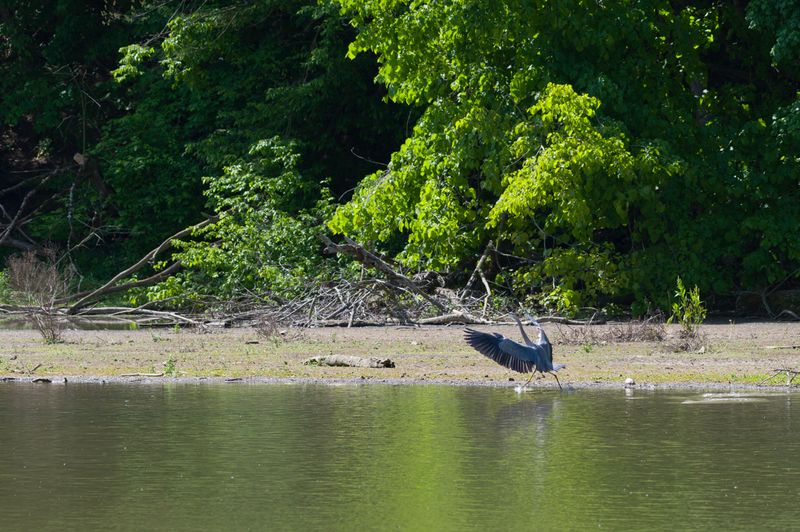 Canonsburg Lake