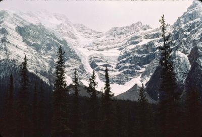 g13/13/1041913/3/175691053.7190a7ce.JPEG
