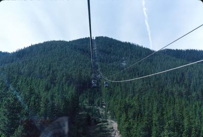g13/13/1041913/3/175691062.7d5d71c6.JPEG