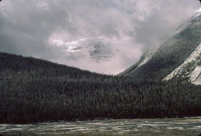 g13/13/1041913/3/175697010.f624d9c1.JPEG