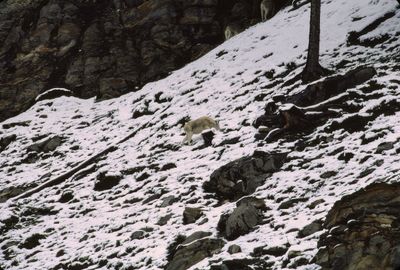 g13/13/1041913/3/175697024.f09c75f1.JPEG