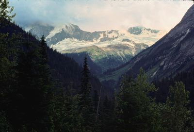 Glacier NP 1989
