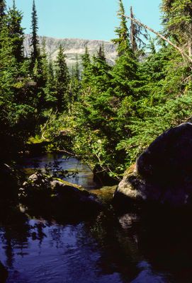 g13/13/1041913/3/175699549.d029f85b.JPEG