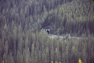 g13/13/1041913/3/175699717.7c583b70.JPEG