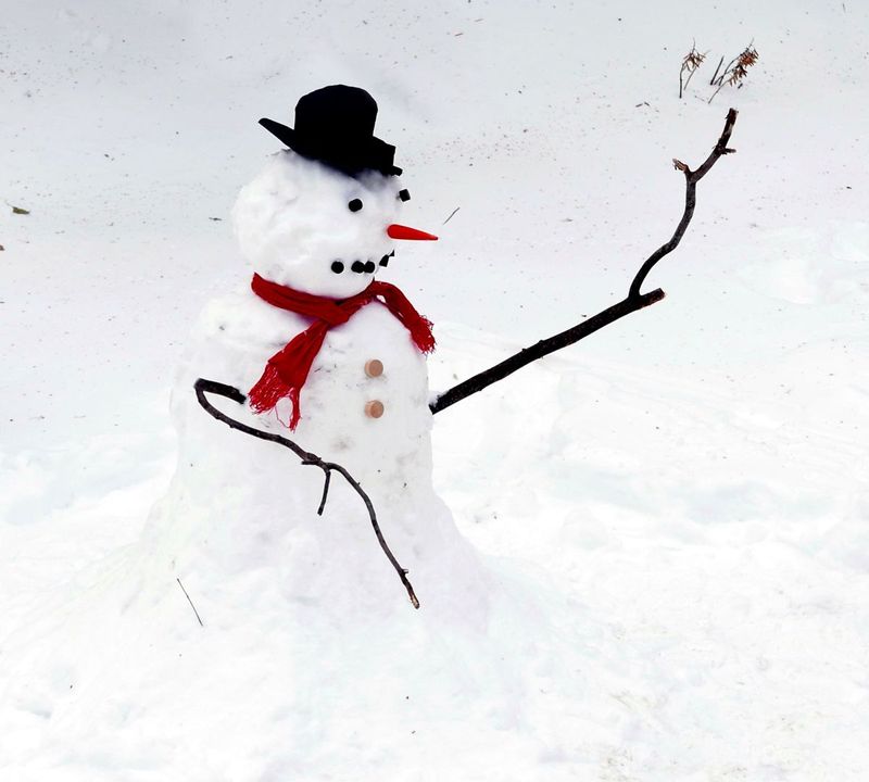 Frostie