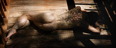 Shadows on the deck.jpg