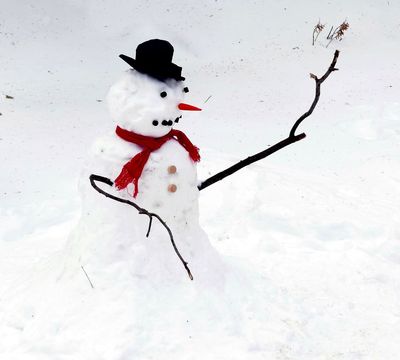Frostie