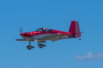 IMG_7232.jpg