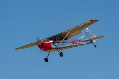 IMG_7235.jpg