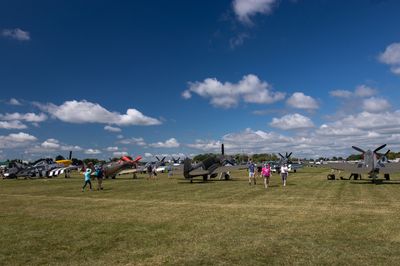IMG_7239.jpg