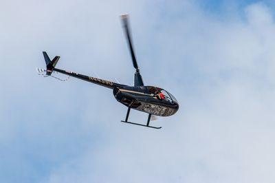 IMG_7253.jpg