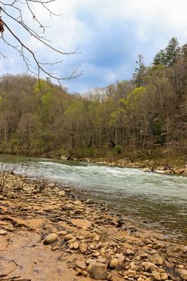 IMG_7514.jpg