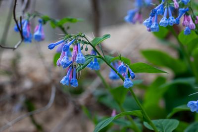 IMG_7522.jpg