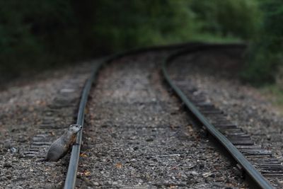 Waitin' on the Train