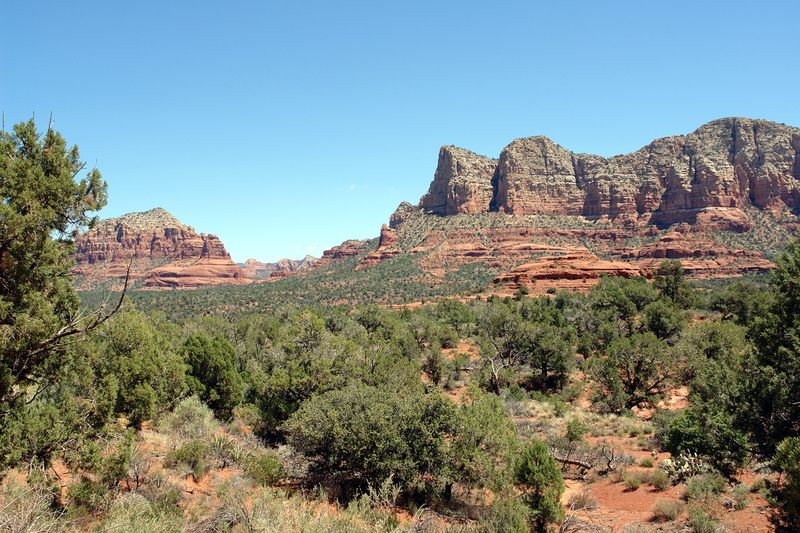 Sedona View