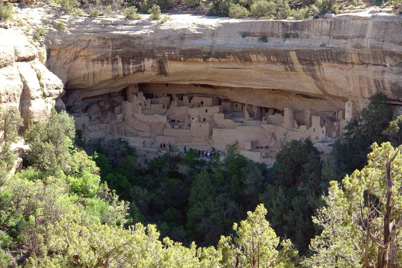 Cliff Palace From Across The Canyon
