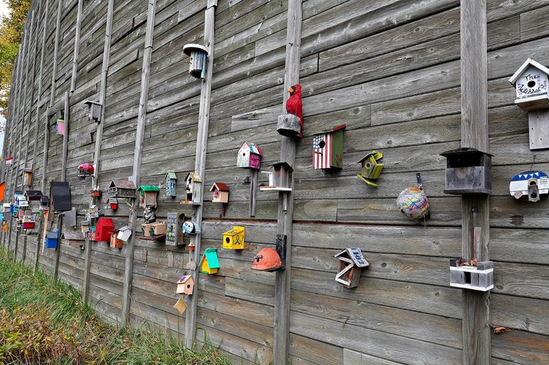 Birdhouse Wall North