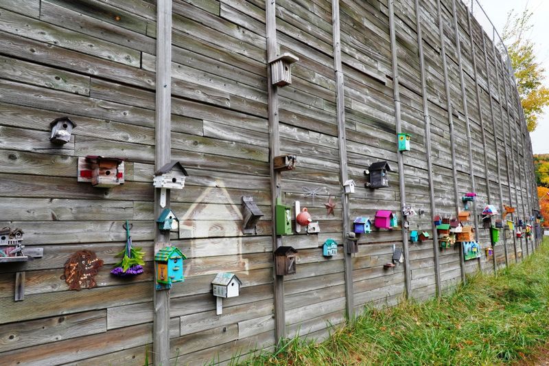 Birdhouse Wall South
