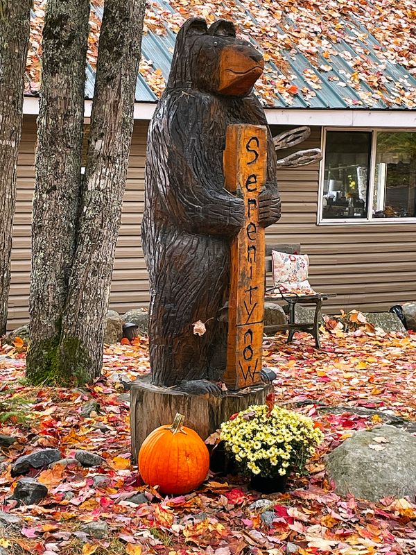 Welcome Bear