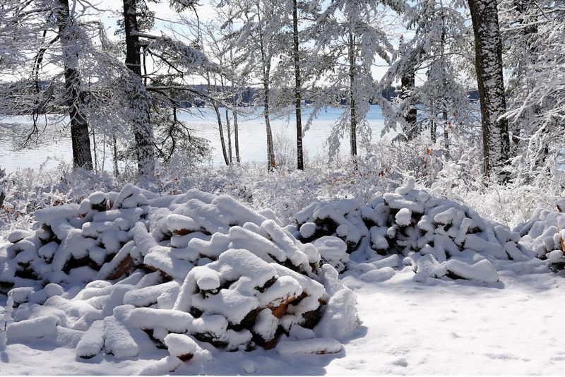 Woodpiles