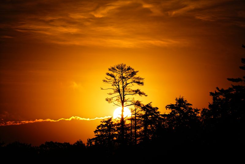 Sunrises Of 2025