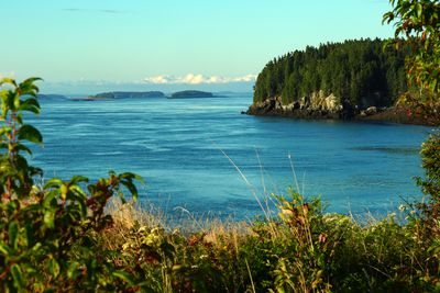 Pollock Cove, Campobello Island 2024