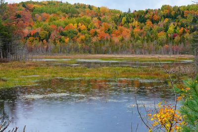 2024 Moxie Foliage Trip