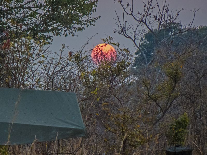 Just Another Sunset