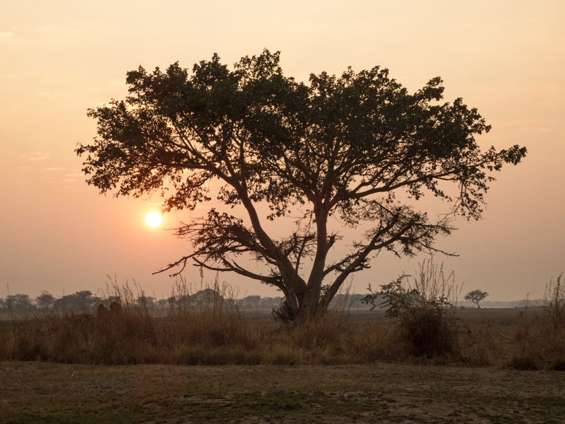 Sunrise