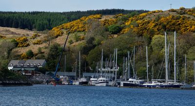 _DSC9308-Ardfern-Marina.jpg