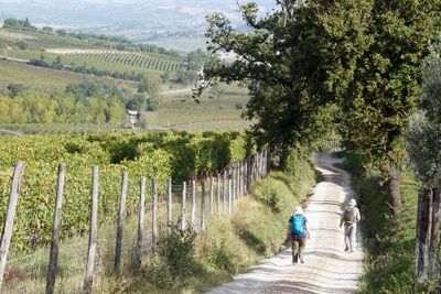 _DSC1433-Montalcino-to-Buonconvento.jpg