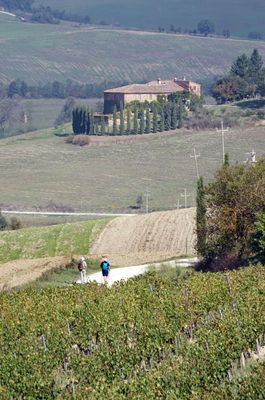 _DSC1451Montalcino-to-Buonconvento.jpg