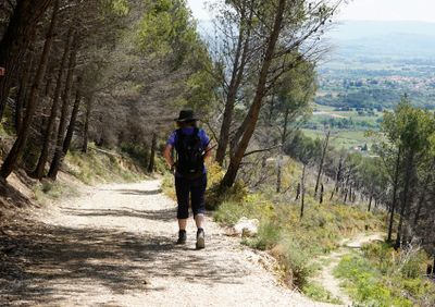 0028-descending-to-La-Barroux_DSC2355.jpg