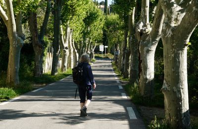 0035_DSC2377-Leaving-La-Barroux.jpg