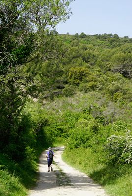 0044_DSC2442Chemin-de-la-Pousterie.jpg