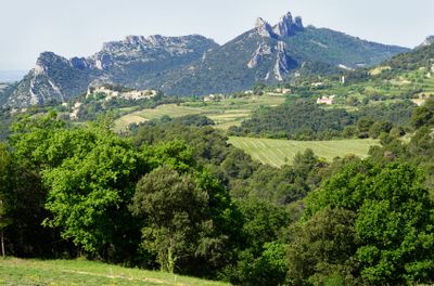 0045_DSC2446Near-Col-de-la-Chaine.jpg
