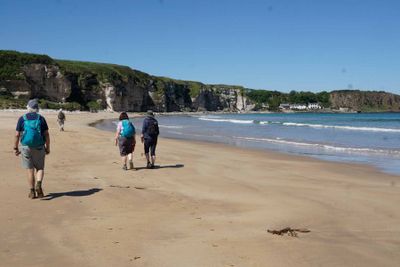 _DSC2707-White-Park-Bay.jpg