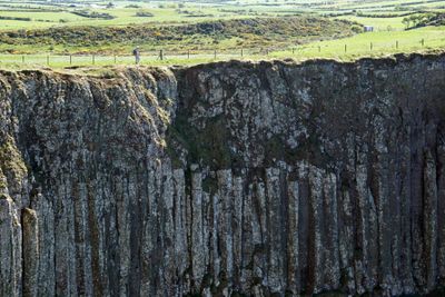 _DSC2762.jpg