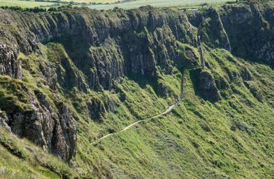 _DSC2774.jpg