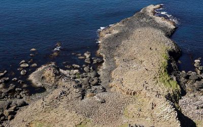Causeway Coastal Walk