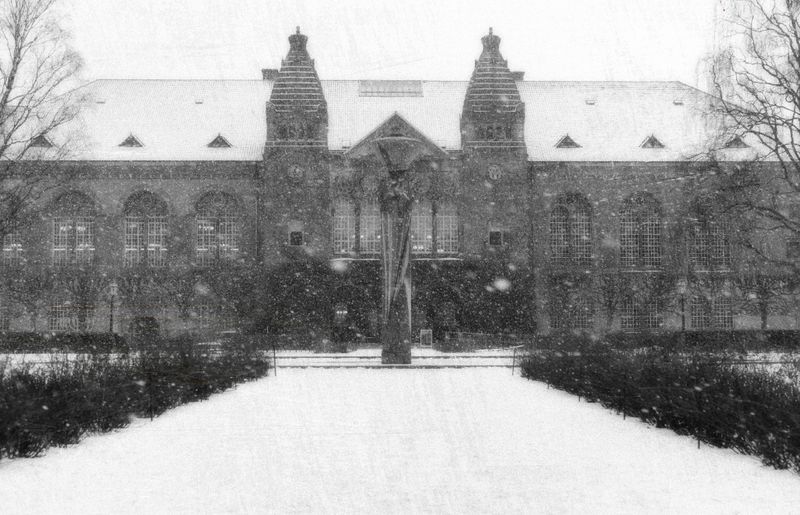 Garden of the Royal Danish Library in Snowfall, Copenhagen, Winter, 2024