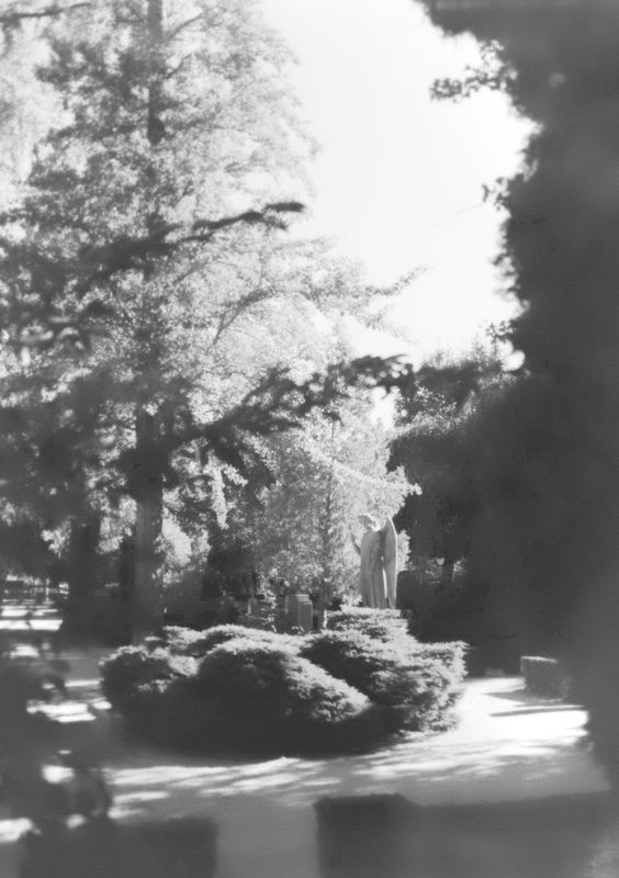 Frederiksberg Cemetery as Seen on October 4th