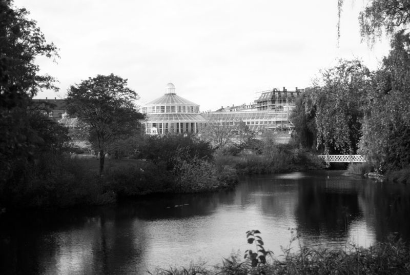 The Palm House, Botanical Gardens, Copenhagen, vintage Pentax K10D