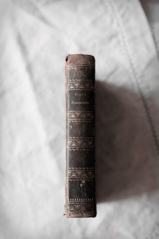 First edition of 'Flora Excursoria Hafniensis' published in 1838