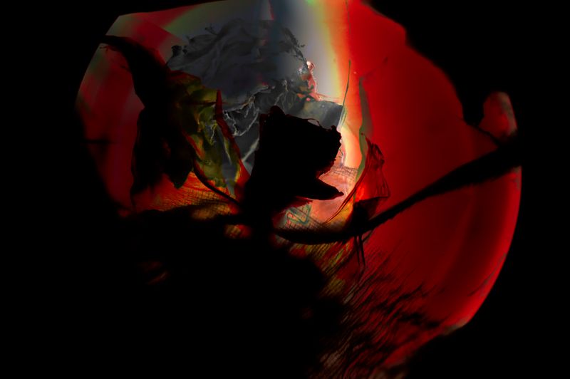 Moons, Castles, Trees | The Wrong Biennale 25-26 | Copenhagen Chronotopes