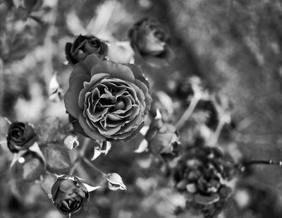 g13/13/5939213/3/174808922.a111b1d1.JPEG