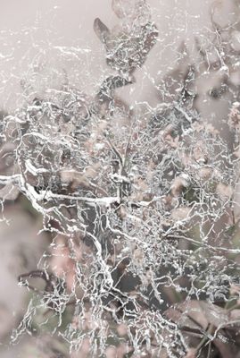g13/13/5939213/3/175158039.f3e45c8c.JPEG