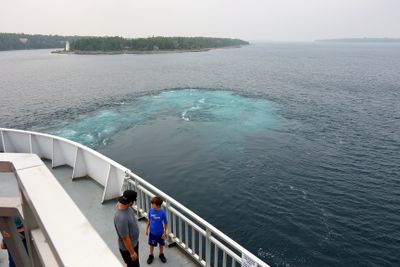 138A5526.JPG