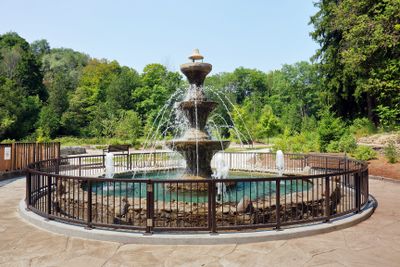 Belfountain Conservation Area, On