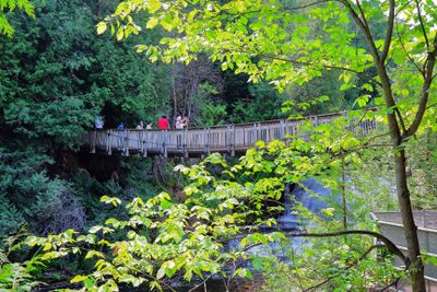 Belfountain Conservation Area, On